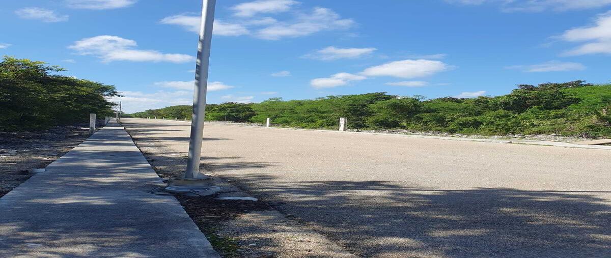 Foto de terreno habitacional en 1 , misnebalam, progreso, yucatán, 28651163 foto 04 Foto de terreno habitacional en venta en 1 , misnebalam, progreso, yucatán, 28651163 No. 04