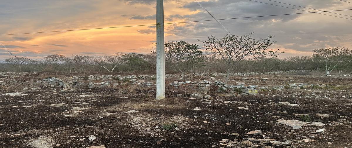 Foto de terreno habitacional en renta en 1 , motul de carrillo puerto centro, motul, yucatán, 30568193 No. 04
