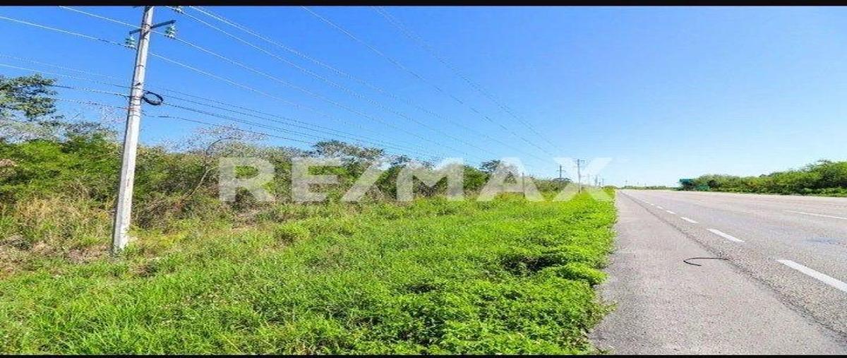Foto de terreno habitacional en venta en 1 , muxupip, muxupip, yucatán, 0 No. 05