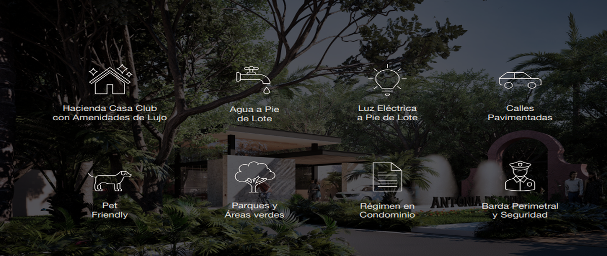 Foto de terreno habitacional en venta en 1 , paraíso, mérida, yucatán, 0 No. 04