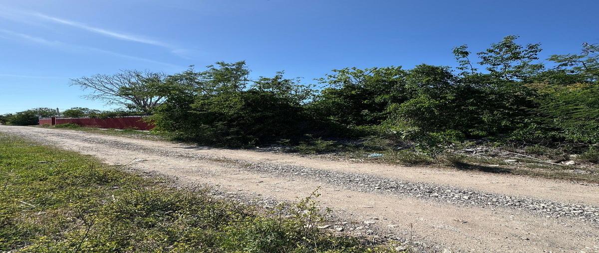 Foto de terreno habitacional en venta en 1 , paraíso, mérida, yucatán, 0 No. 03