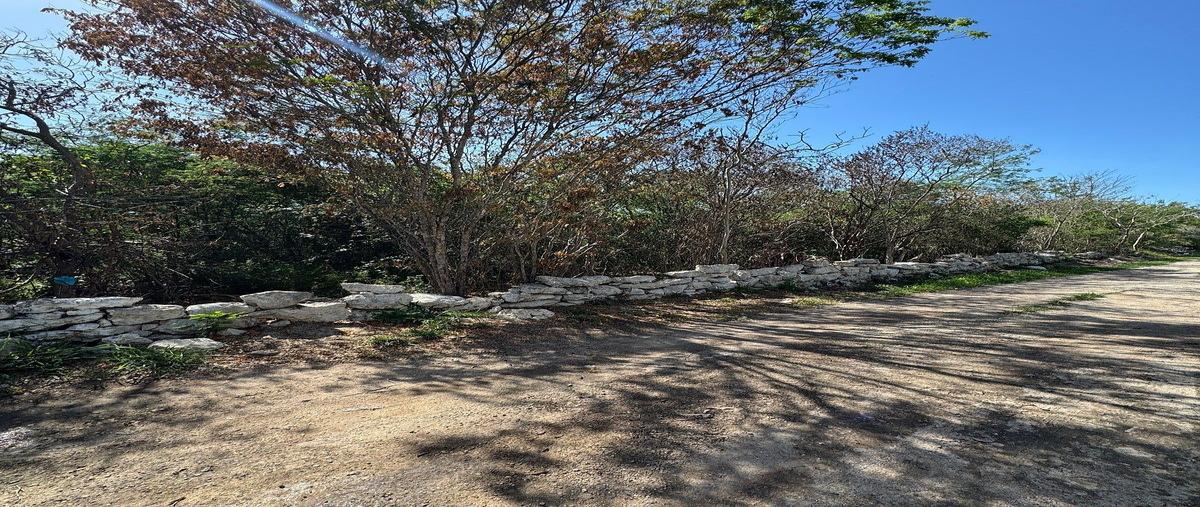 Foto de terreno habitacional en venta en 1 , paraíso, mérida, yucatán, 0 No. 04