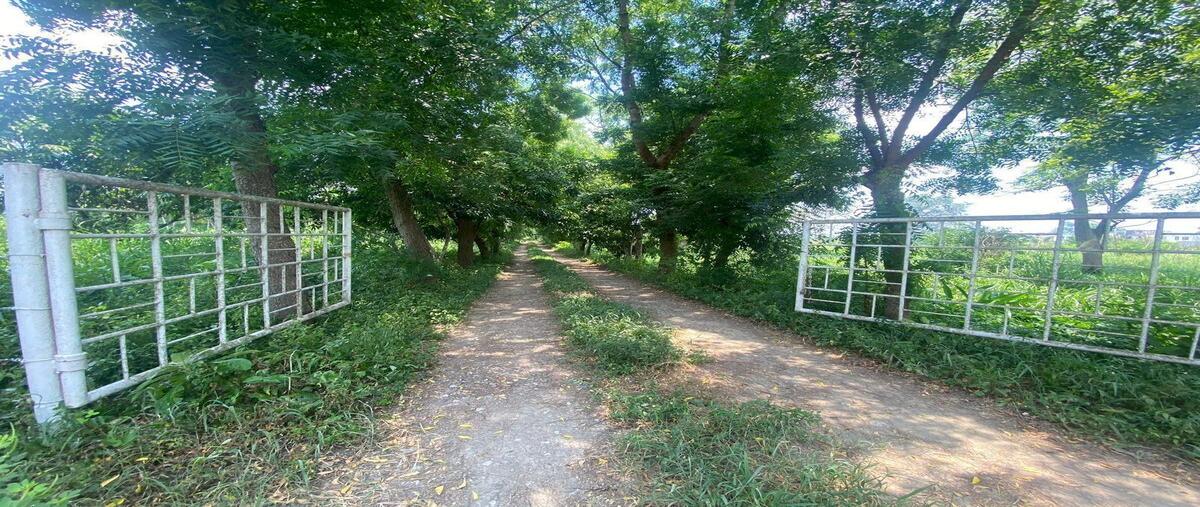 Foto de terreno habitacional en 1 , plutarco elias calles cura hueso, centro, tabasco, 0 foto 01 Foto de terreno habitacional en venta en 1 , plutarco elias calles cura hueso, centro, tabasco, 0 No. 01