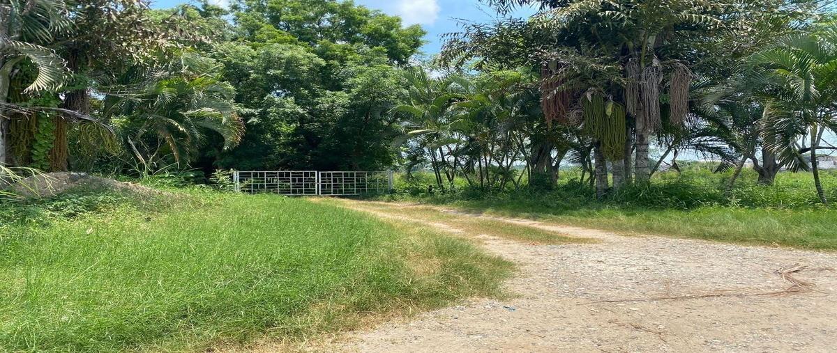 Foto de terreno habitacional en 1 , plutarco elias calles cura hueso, centro, tabasco, 0 foto 02 Foto de terreno habitacional en venta en 1 , plutarco elias calles cura hueso, centro, tabasco, 0 No. 02