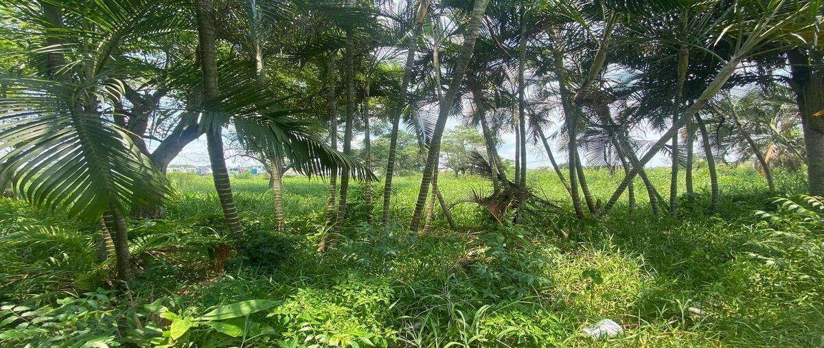 Foto de terreno habitacional en 1 , plutarco elias calles cura hueso, centro, tabasco, 0 foto 05 Foto de terreno habitacional en venta en 1 , plutarco elias calles cura hueso, centro, tabasco, 0 No. 05