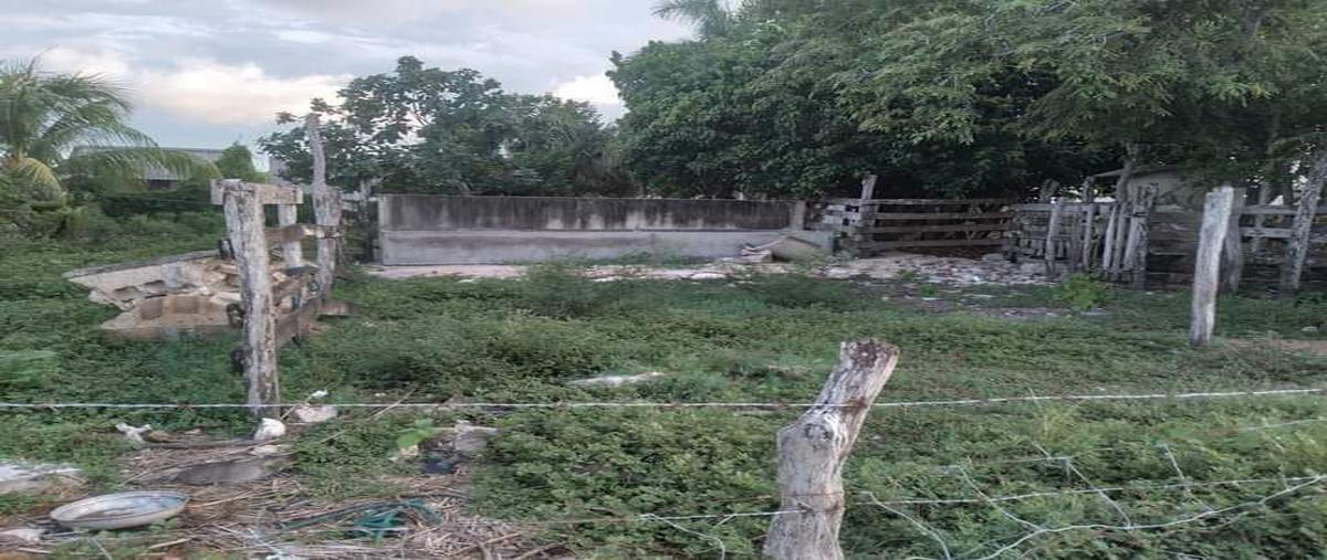 Foto de terreno habitacional en 1 , rio lagartos, río lagartos, yucatán, 28751800 foto 02 Foto de terreno habitacional en venta en 1 , rio lagartos, río lagartos, yucatán, 28751800 No. 02