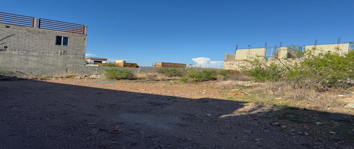 Foto de terreno habitacional en venta en 1 , san carlos (san carlos nuevo guaymas), guaymas, sonora, 0 No. 02