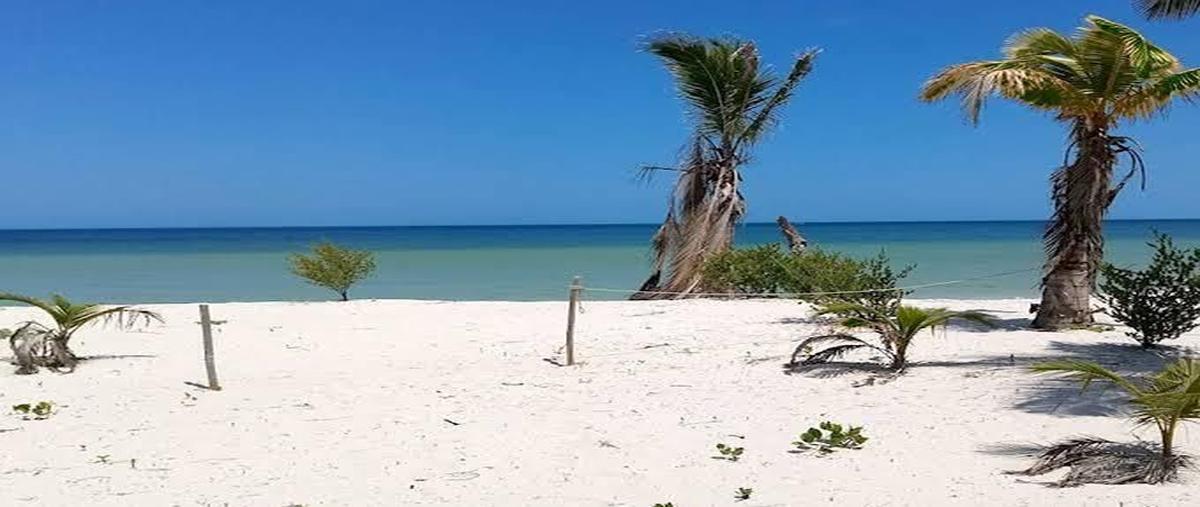 Foto de terreno habitacional en venta en 1 , san crisanto, sinanché, yucatán, 0 No. 05