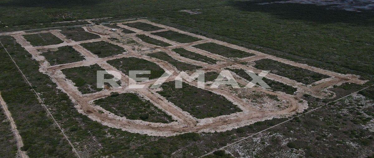 Foto de terreno habitacional en venta en 1 , san crisanto, sinanché, yucatán, 0 No. 04