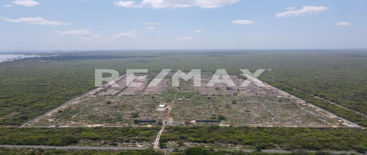 Foto de terreno habitacional en venta en 1 , san crisanto, sinanché, yucatán, 0 No. 05