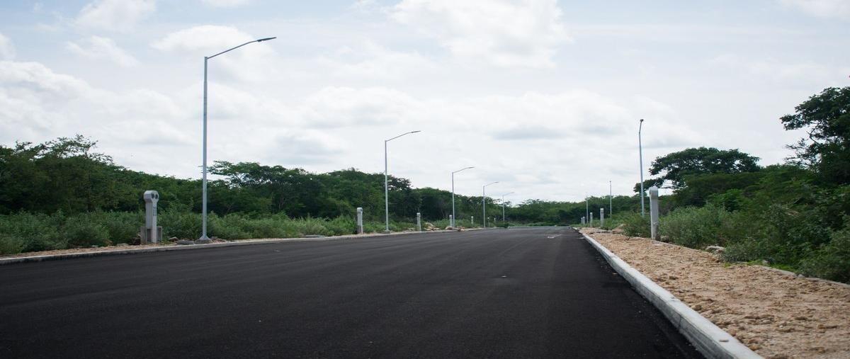 Foto de terreno habitacional en venta en 1 , san diego cutz, conkal, yucatán, 26446333 No. 04