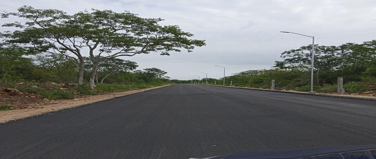 Foto de terreno habitacional en venta en 1 , san diego cutz, conkal, yucatán, 26446333 No. 05