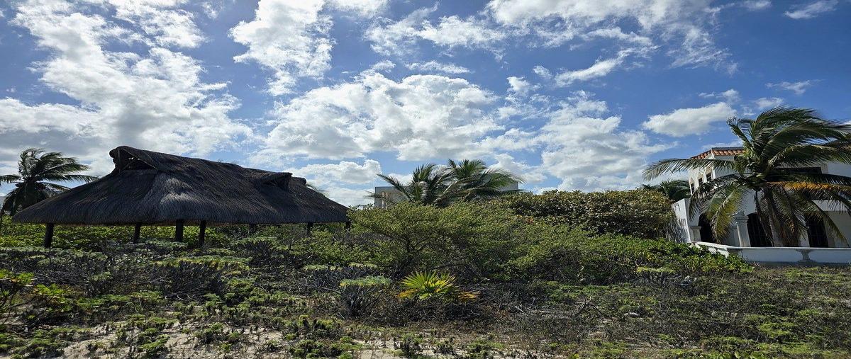 Foto de terreno habitacional en venta en 1 , san diego, dzemul, yucatán, 29071108 No. 05