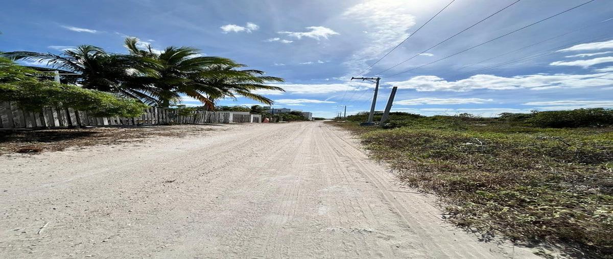 Foto de terreno habitacional en venta en 1 , san diego, dzemul, yucatán, 0 No. 04