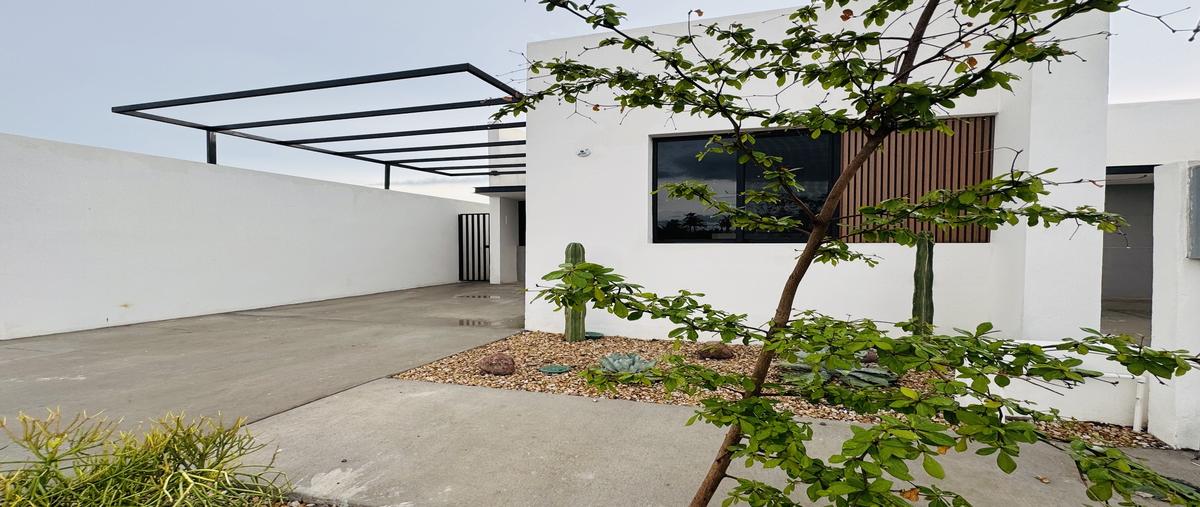 Foto de casa en renta en 1 , san rafael, la paz, baja california sur, 30326781 No. 03