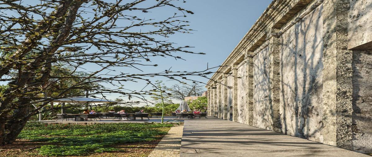 Foto de terreno habitacional en venta en 1 , santa clara, dzidzantún, yucatán, 27500127 No. 03