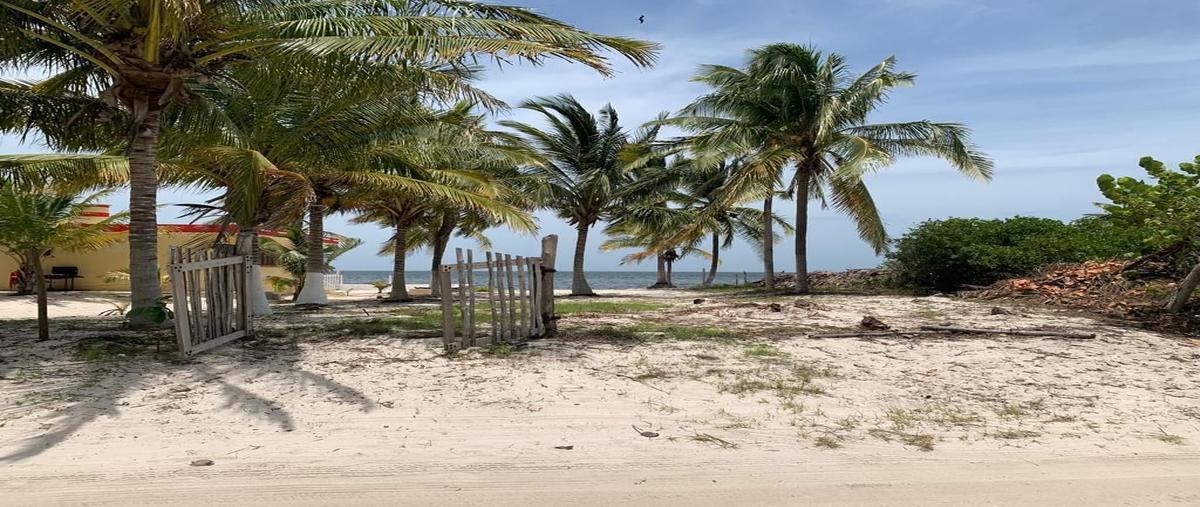 Foto de terreno habitacional en venta en 1 , santa clara, dzidzantún, yucatán, 0 No. 04