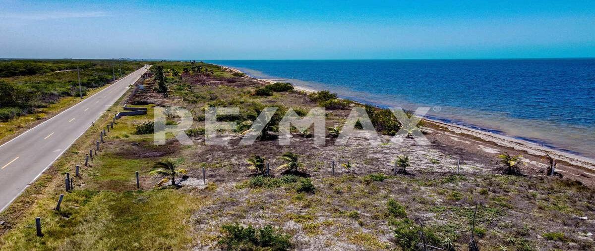 Foto de terreno habitacional en venta en 1 , santa clara, dzidzantún, yucatán, 0 No. 04