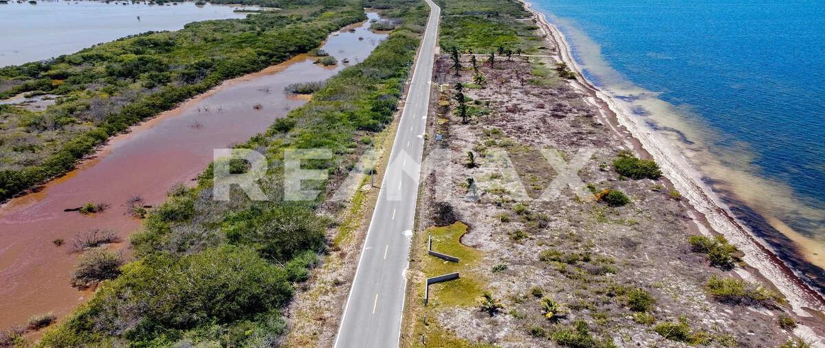 Foto de terreno habitacional en venta en 1 , santa clara, dzidzantún, yucatán, 0 No. 05