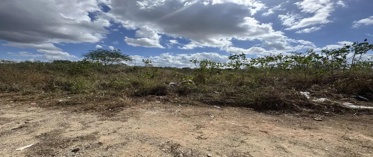 Foto de terreno habitacional en venta en 1 , santa gertrudis copo, mérida, yucatán, 0 No. 03