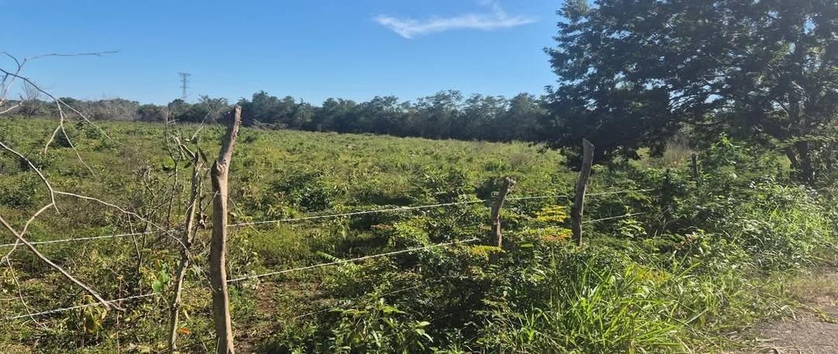Foto de terreno habitacional en 1 , santo domingo, tizimín, yucatán, 29799267 foto 01 Foto de terreno habitacional en venta en 1 , santo domingo, tizimín, yucatán, 29799267 No. 01