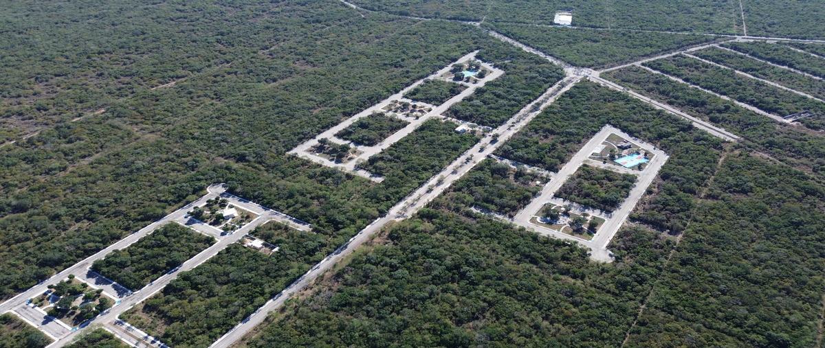 Foto de terreno habitacional en venta en 1 , sierra papacal, mérida, yucatán, 29839100 No. 03
