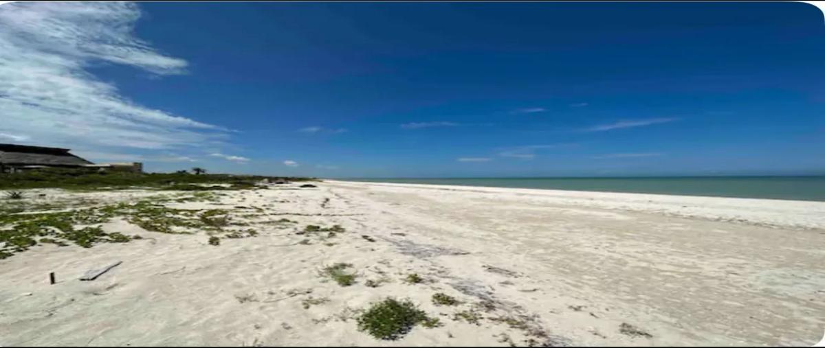 Foto de casa en 1 , sisal, hunucmá, yucatán, 30179898 foto 12 Foto de casa en venta en 1 , sisal, hunucmá, yucatán, 30179898 No. 12