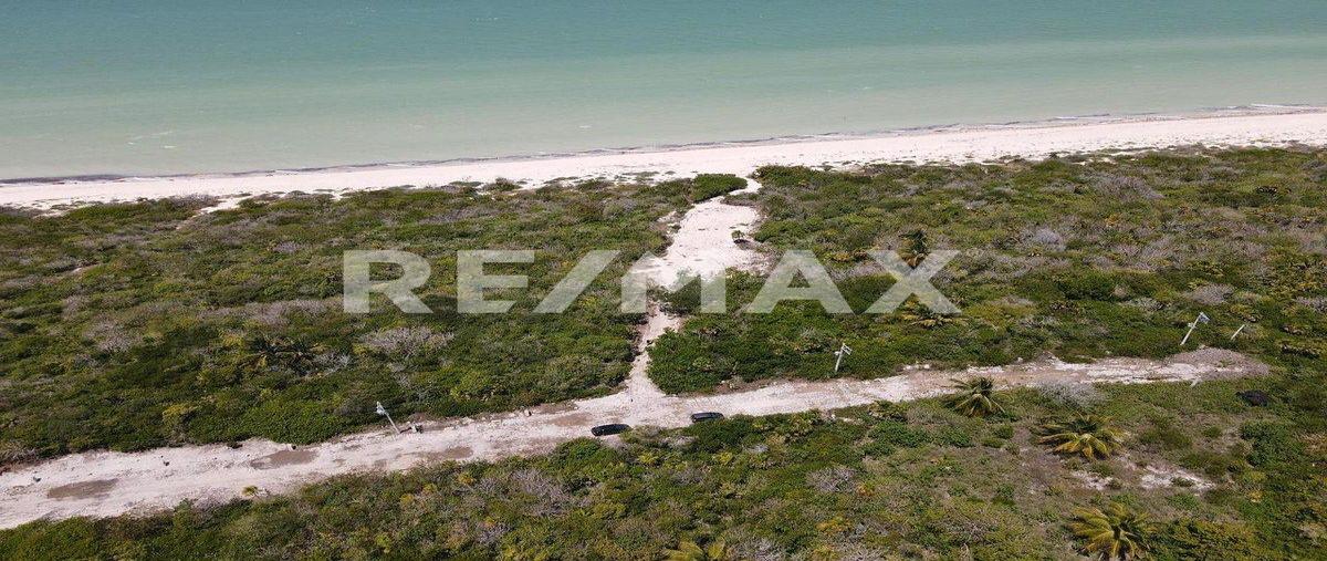 Foto de terreno habitacional en 1 , sisal, hunucmá, yucatán, 0 foto 01 Foto de terreno habitacional en venta en 1 , sisal, hunucmá, yucatán, 0 No. 01