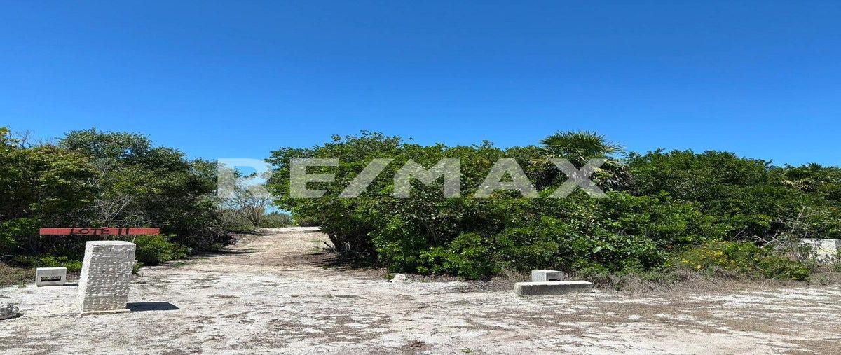 Foto de terreno habitacional en 1 , sisal, hunucmá, yucatán, 0 foto 03 Foto de terreno habitacional en venta en 1 , sisal, hunucmá, yucatán, 0 No. 03
