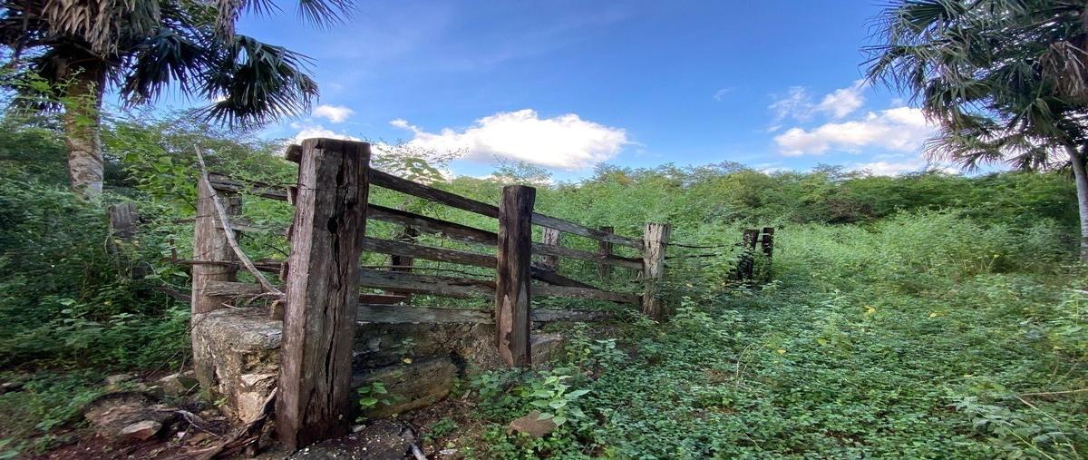 Foto de rancho en venta en 1 , sotuta, sotuta, yucatán, 26285183 No. 04
