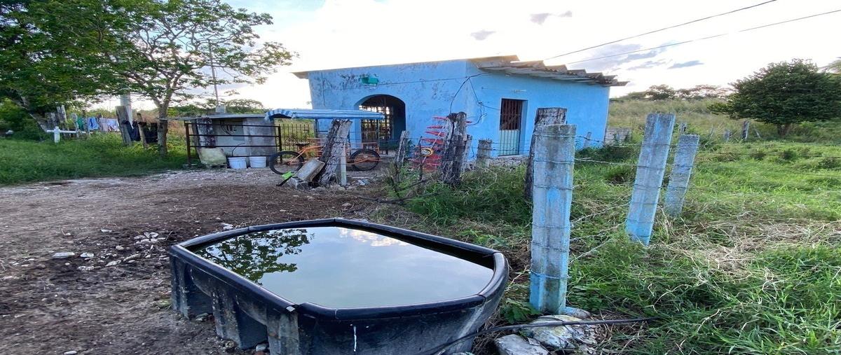 Foto de rancho en venta en 1 , sotuta, sotuta, yucatán, 26285183 No. 05