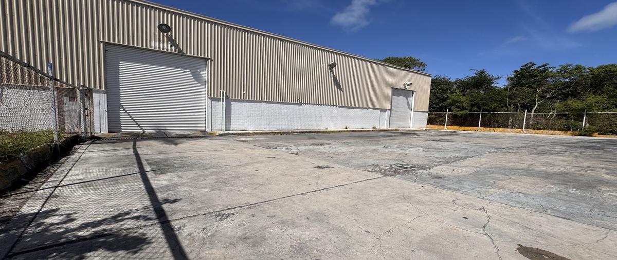 Foto de bodega en 1 sur , puerto pesquero, carmen, campeche, 30295131 foto 02 Foto de bodega en renta en 1 sur , puerto pesquero, carmen, campeche, 30295131 No. 02