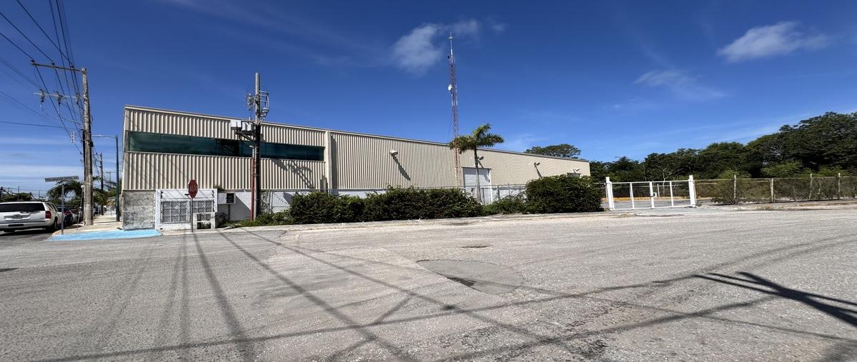 Foto de bodega en 1 sur , puerto pesquero, carmen, campeche, 30295131 foto 04 Foto de bodega en renta en 1 sur , puerto pesquero, carmen, campeche, 30295131 No. 04