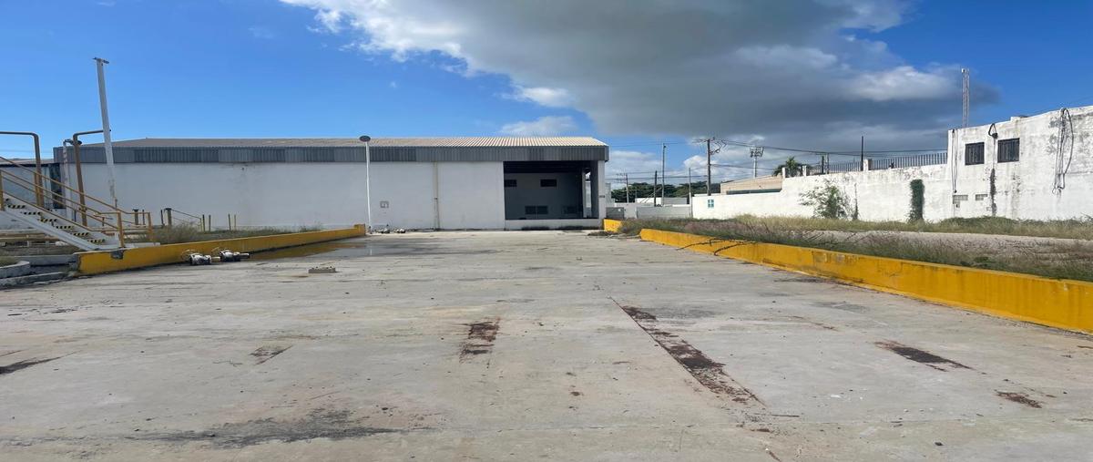 Foto de nave industrial en renta en 1 sur , puerto pesquero, carmen, campeche, 6872250 No. 03