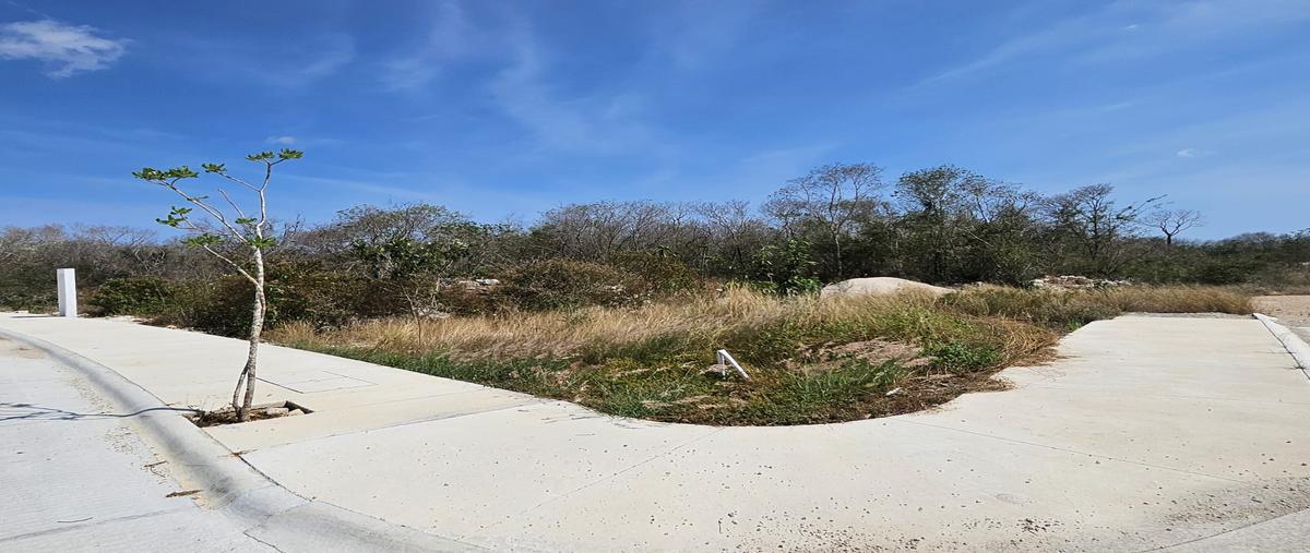 Foto de terreno habitacional en venta en 1 , tamanché, mérida, yucatán, 28381255 No. 04