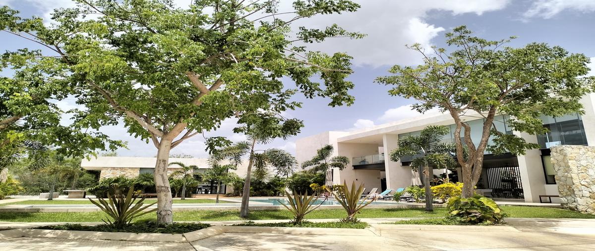 Foto de casa en venta en 1 , tamanché, mérida, yucatán, 30642058 No. 03