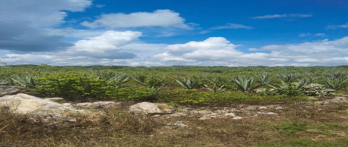 Foto de terreno habitacional en 1 , tekanto, tekantó, yucatán, 28678185 foto 01 Foto de terreno habitacional en venta en 1 , tekanto, tekantó, yucatán, 28678185 No. 01