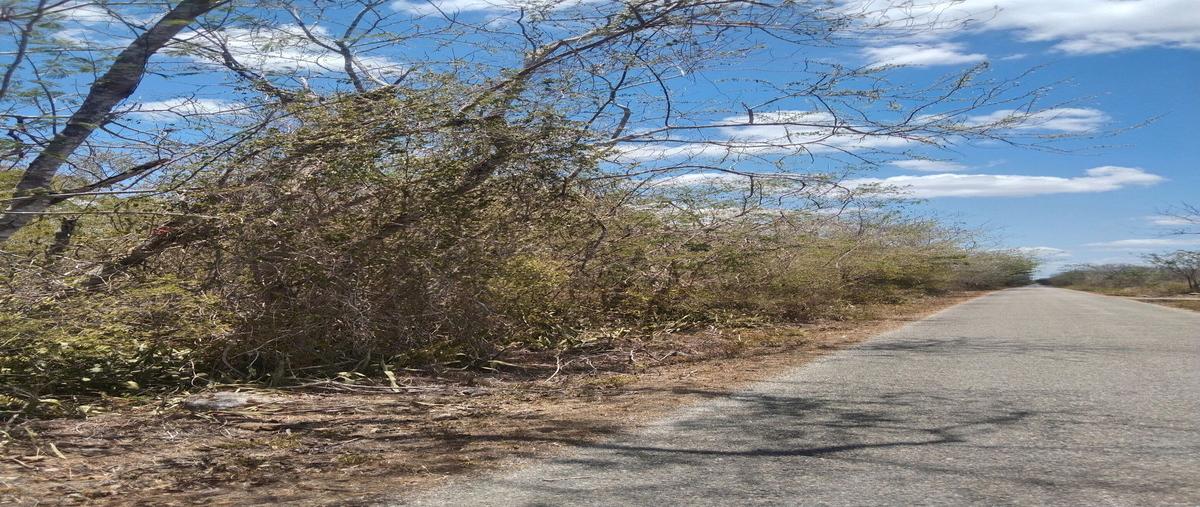 Foto de terreno habitacional en venta en 1 , tekanto, tekantó, yucatán, 29912165 No. 05