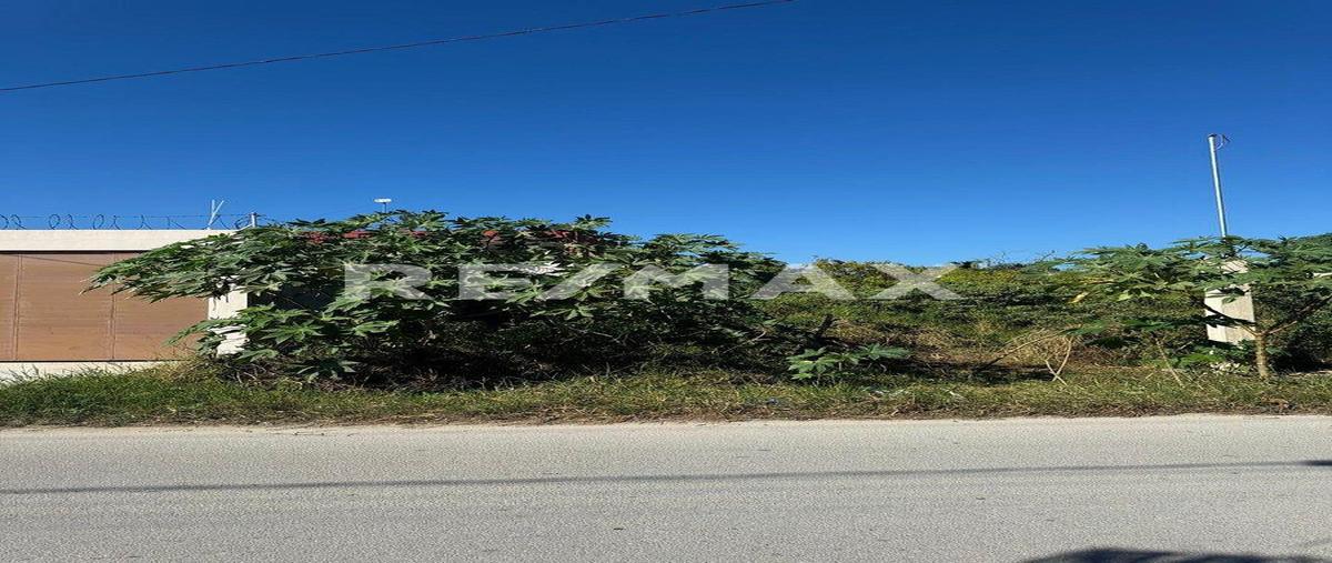 Foto de terreno habitacional en venta en 1 , telchac puerto, telchac puerto, yucatán, 0 No. 04
