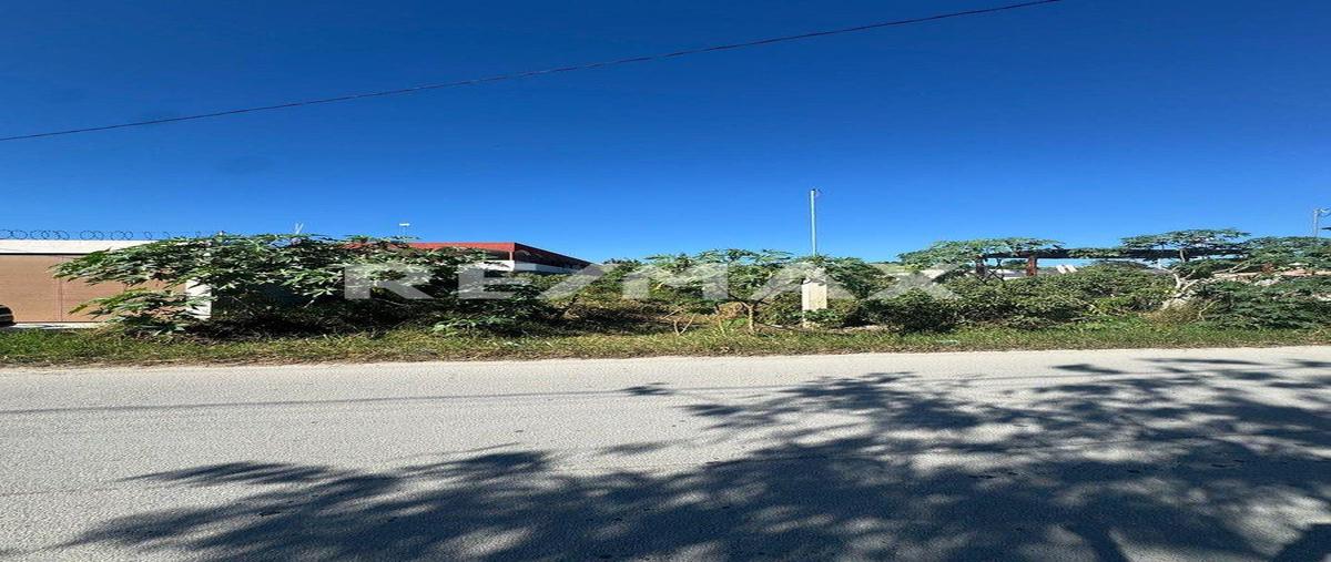 Foto de terreno habitacional en venta en 1 , telchac puerto, telchac puerto, yucatán, 0 No. 05