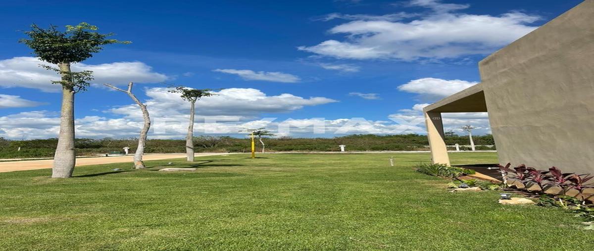 Foto de terreno habitacional en venta en 1 , temozon norte, mérida, yucatán, 0 No. 05
