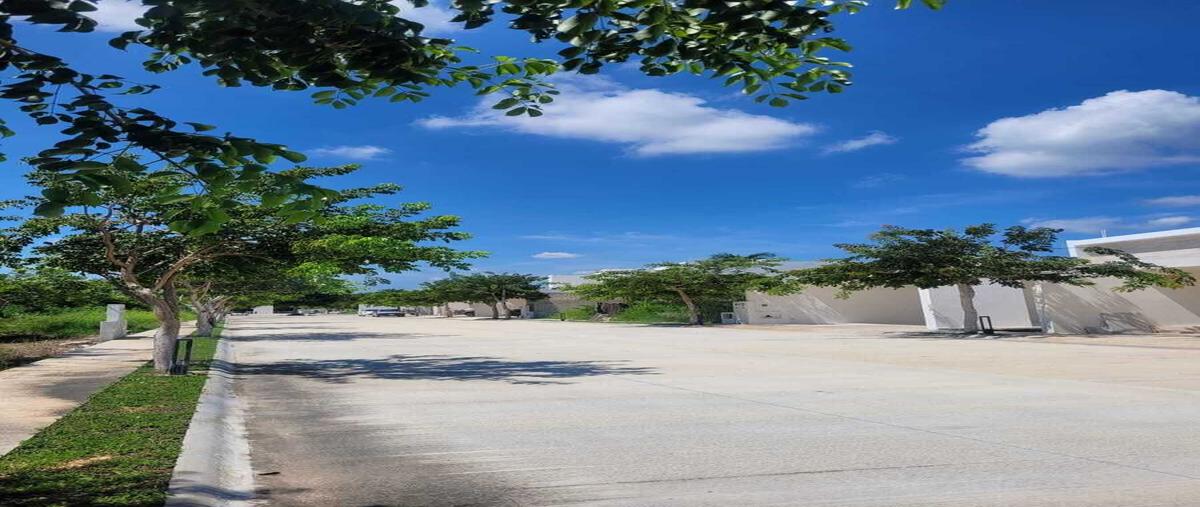 Foto de terreno habitacional en venta en 1 , temozon norte, mérida, yucatán, 30474529 No. 04