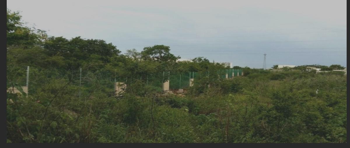 Foto de terreno habitacional en venta en 1 , temozon norte, mérida, yucatán, 30511105 No. 03