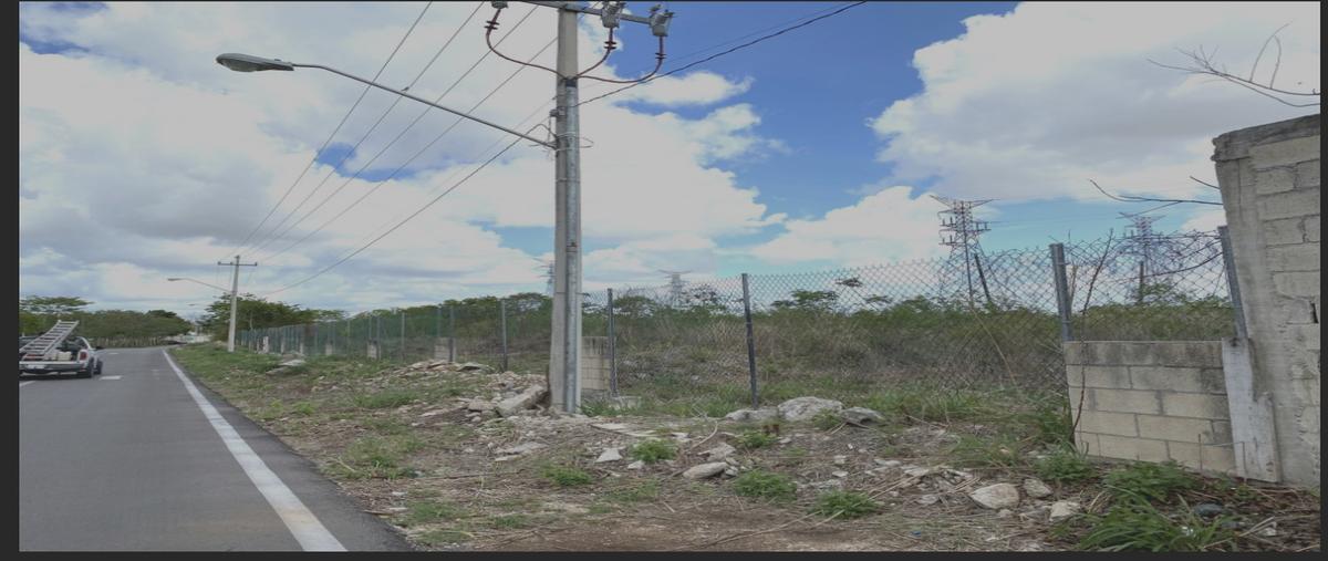 Foto de terreno habitacional en venta en 1 , temozon norte, mérida, yucatán, 30511105 No. 05