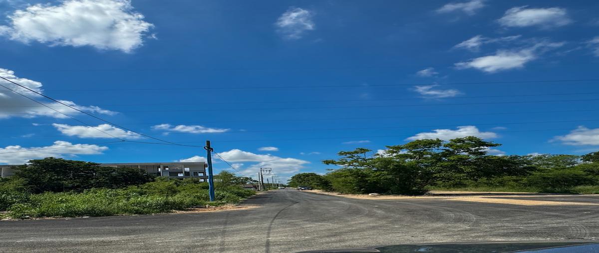 Foto de terreno habitacional en venta en 1 , temozon norte, mérida, yucatán, 30529729 No. 04