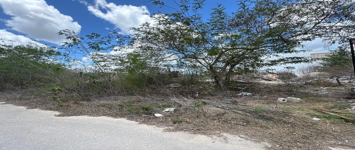 Foto de terreno habitacional en venta en 1 , temozon norte, mérida, yucatán, 30818797 No. 05