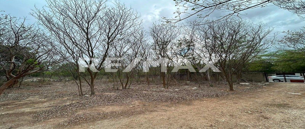 Foto de terreno habitacional en renta en 1 , temozon norte, mérida, yucatán, 0 No. 03