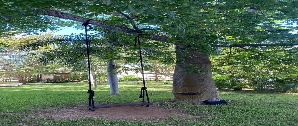 Foto de terreno habitacional en venta en 1 , temozon, temozón, yucatán, 0 No. 05