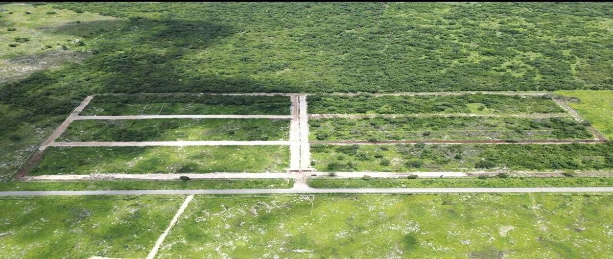 Foto de terreno habitacional en venta en 1 , tepakan, tepakán, yucatán, 0 No. 03