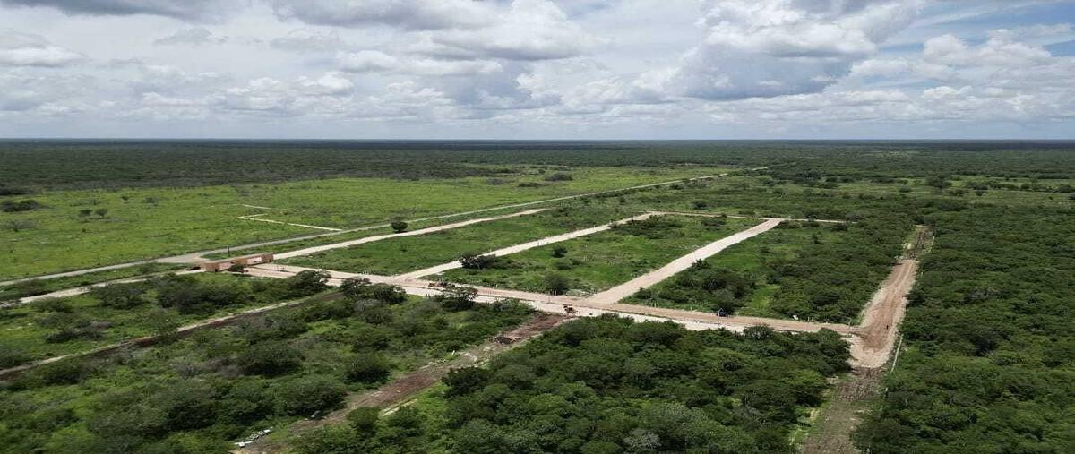 Foto de terreno habitacional en venta en 1 , tepakan, tepakán, yucatán, 0 No. 05